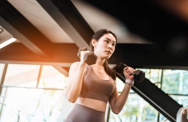 Genç, güzel, zayıf bir kadın spor salonunda halterle egzersiz yapıyor.