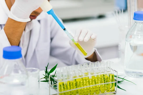 Laboratuvardaki Bilim Adamı Bir Marihuana Bitkisinden Çıkarılan Cbd Yağını Test — Stok fotoğraf