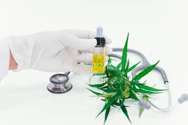 마리화나 공장에서 Cbd 기름을 실험하는 과학자들 의료용 — 스톡 사진
