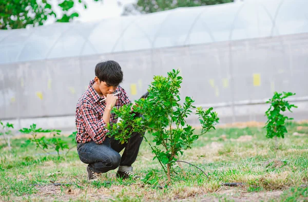 Joven Agricultor Sosteniendo Tabletas Plantas Control Campo —  Fotos de Stock