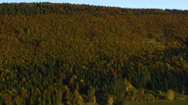 Almanya 'daki Geisingen şehrinin havadan görüntüsü. Sonbaharda güneşli bir günde, sonbahar. 
