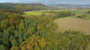 Sonbaharda güneşli bir günde Almanya 'da Constance Gölü etrafındaki orman ve ağaçların havadan görünüşü. 