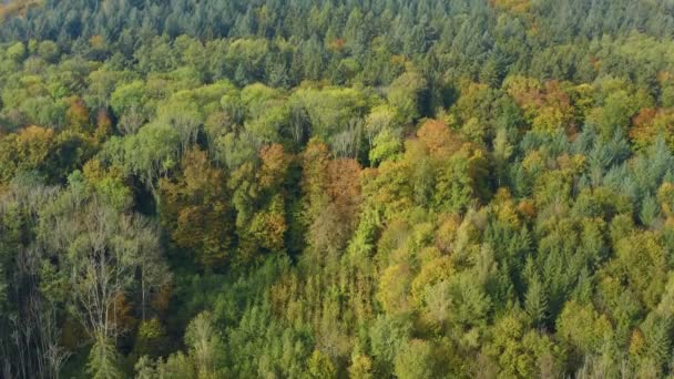 Luchtfoto Van Bossen Bomen Rond Het Bodenmeer Duitsland Een Zonnige — Stockvideo