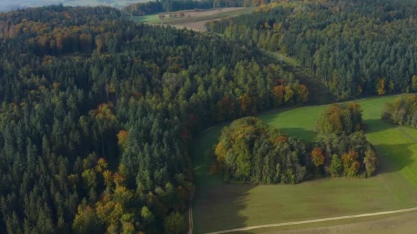 Letecký Pohled Lesy Stromy Kolem Jezera Constance Německu Slunečného Podzimního — Stock video