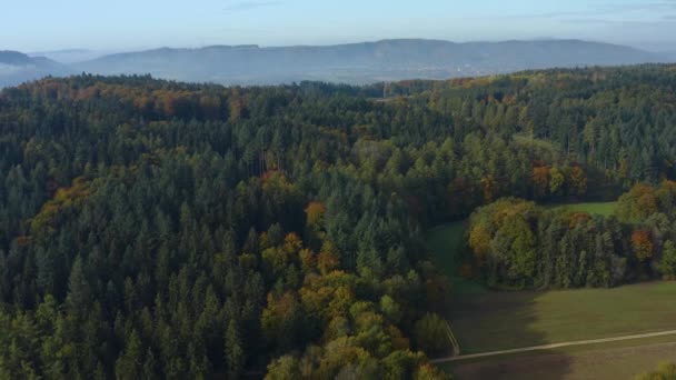 Vista Aérea Bosques Árboles Alrededor Del Lago Constanza Alemania Día — Vídeo de stock