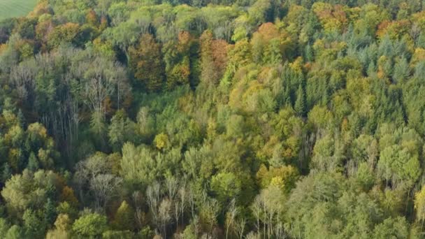 Veduta Aerea Boschi Alberi Intorno Lago Costanza Germania Una Giornata — Video Stock