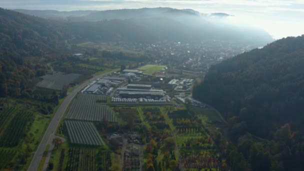 Luchtfoto Van Stad Bodman Ludwigshafen Naast Het Bodenmeer Duitsland Een — Stockvideo