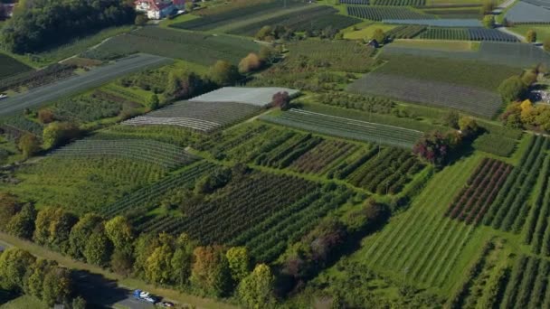 Luftaufnahme Der Stadt Immenstaad Bodensee Einem Sonnigen Herbsttag — Stockvideo