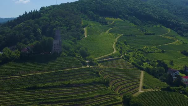 Vista Aérea Ciudad Schriesheim Castillo Strahlenburg Alemania Día Soleado Primavera — Vídeos de Stock