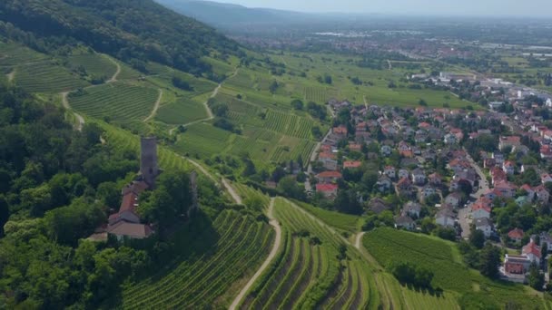 Flygfoto Över Staden Schriesheim Och Slottet Strahlenburg Tyskland Solig Dag — Stockvideo