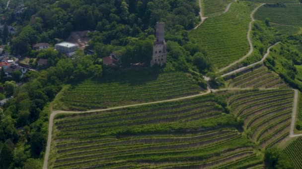 Vista Aérea Cidade Schriesheim Castelo Strahlenburg Alemanha Dia Ensolarado Primavera — Vídeo de Stock