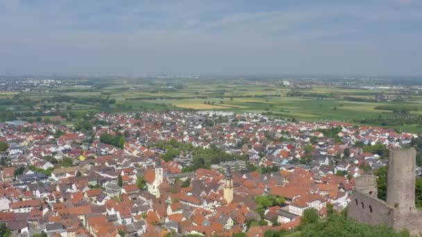 Widok Lotu Ptaka Miasto Schriesheim Zamek Strahlenburg Niemczech Słoneczny Dzień — Wideo stockowe