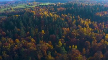 Güney Almanya 'daki kara orman Sonbaharda güneşli bir günde