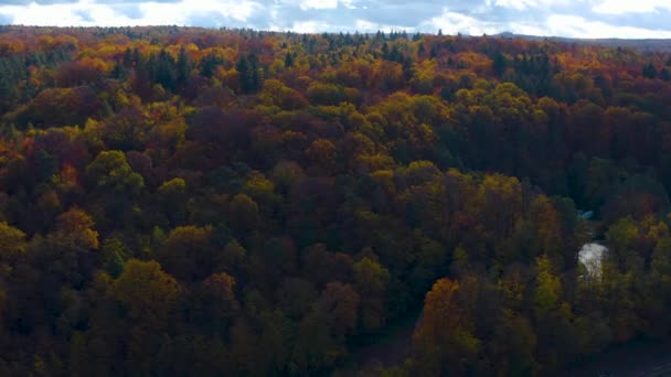 Foresta Nera Nel Sud Della Germania Una Giornata Sole Autunno — Video Stock
