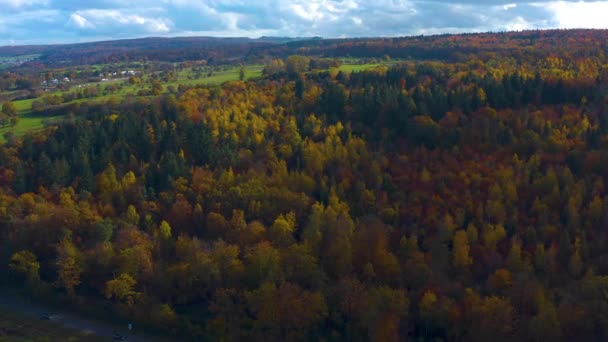 Foresta Nera Nel Sud Della Germania Una Giornata Sole Autunno — Video Stock