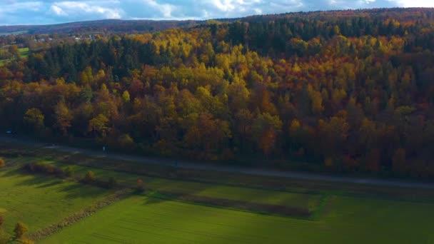 Foresta Nera Nel Sud Della Germania Una Giornata Sole Autunno — Video Stock