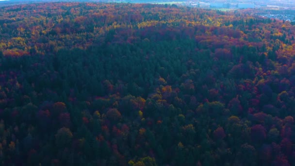 秋の晴れた日に南ドイツの黒い森 — ストック動画