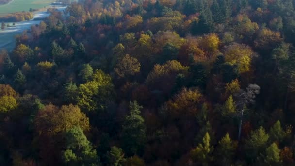 Den Svarta Skogen Södra Tyskland Solig Dag Hösten — Stockvideo