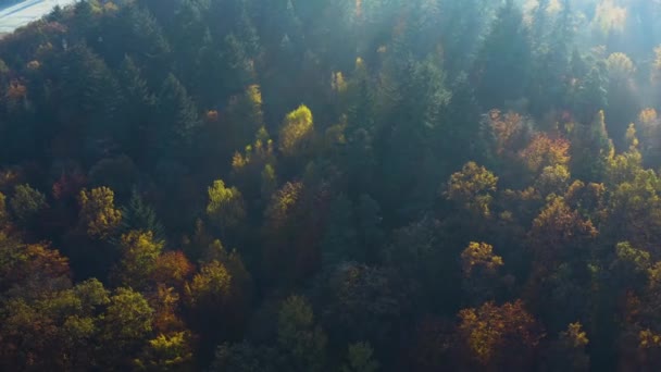 Чорний Ліс Півдні Німеччини Сонячний День Осені — стокове відео