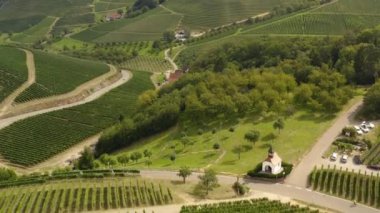 Almanya 'nın Durbach kentindeki üzüm bağlarının hava manzarası, Almanya' da kara ormana yakın güneşli bir günde