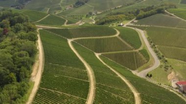 Almanya 'nın Durbach kentindeki üzüm bağlarının hava manzarası, Almanya' da kara ormana yakın güneşli bir günde