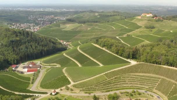 Luftaufnahme Der Weinberge Rund Durbach Einem Sonnigen Tag Deutschland Der — Stockvideo