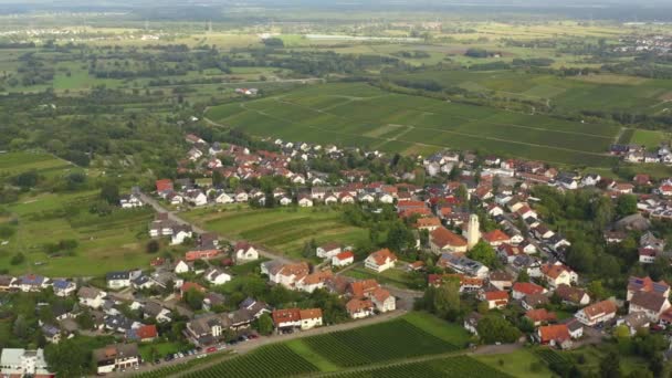 德国Varnhalt Steinbach和Neuweier村周围的空中景观 夏天阳光明媚的清晨 — 图库视频影像