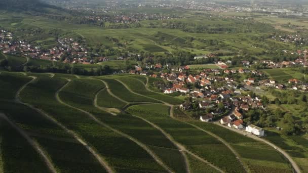 Luftaufnahme Der Dörfer Varnhalt Steinbach Und Neuweier Deutschland Früh Einem — Stockvideo