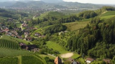 Almanya 'da Durbach ve Burg Staufenberg kalesinin etrafındaki üzüm bağlarının hava manzarası, kara ormana yakın güneşli bir günde.