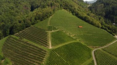 Almanya 'da Durbach ve Burg Staufenberg kalesinin etrafındaki üzüm bağlarının hava manzarası, kara ormana yakın güneşli bir günde.