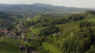 Almanya 'da Durbach ve Burg Staufenberg kalesinin etrafındaki üzüm bağlarının hava manzarası, kara ormana yakın güneşli bir günde.