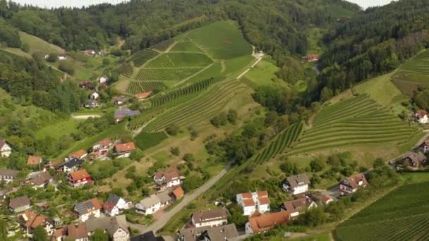 ドバハ周辺のブドウ畑と黒い森に近いドイツの晴れた日にドイツのBurg Staufenberg城の眺め — ストック動画