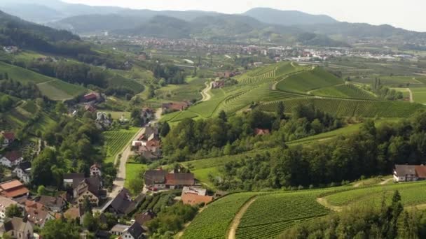 Letecký Pohled Vinice Kolem Durbachu Hradu Burg Staufenberg Německu Slunečného — Stock video
