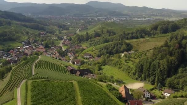 Luftaufnahme Der Weinberge Rund Durbach Und Die Burg Staufenberg Einem — Stockvideo