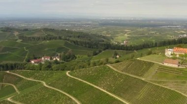 Almanya 'da Durbach ve Burg Staufenberg kalesinin etrafındaki üzüm bağlarının hava manzarası, kara ormana yakın güneşli bir günde.