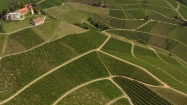 Almanya 'da Durbach ve Burg Staufenberg kalesinin etrafındaki üzüm bağlarının hava manzarası, kara ormana yakın güneşli bir günde.