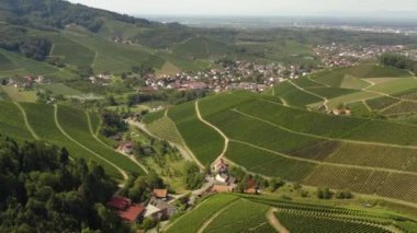 Almanya 'da Durbach ve Burg Staufenberg kalesinin etrafındaki üzüm bağlarının hava manzarası, kara ormana yakın güneşli bir günde.
