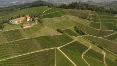 Almanya 'da Durbach ve Burg Staufenberg kalesinin etrafındaki üzüm bağlarının hava manzarası, kara ormana yakın güneşli bir günde.