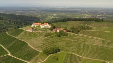 Almanya 'da Durbach ve Burg Staufenberg kalesinin etrafındaki üzüm bağlarının hava manzarası, kara ormana yakın güneşli bir günde.