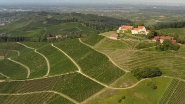 Almanya 'da Durbach ve Burg Staufenberg kalesinin etrafındaki üzüm bağlarının hava manzarası, kara ormana yakın güneşli bir günde.