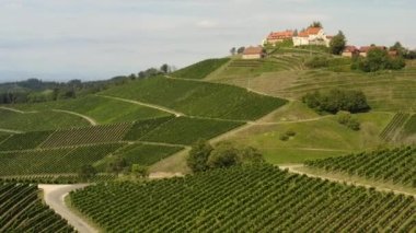 Almanya 'da Durbach ve Burg Staufenberg kalesinin etrafındaki üzüm bağlarının hava manzarası, kara ormana yakın güneşli bir günde.