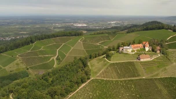 Luftaufnahme Der Weinberge Rund Durbach Und Die Burg Staufenberg Einem — Stockvideo