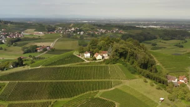 Vista Aérea Los Viñedos Alrededor Durbach Castillo Burg Staufenberg Alemania — Vídeos de Stock