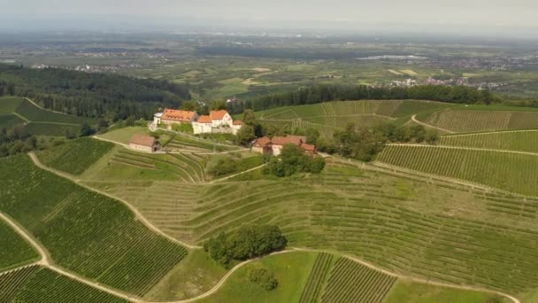 Luftaufnahme der Weinberge rund um Durbach und die Burg Staufenberg an einem sonnigen Tag in Deutschland nahe dem Schwarzwald.