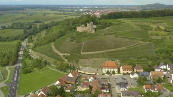 Luchtfoto Van Stad Hecklingen Kasteel Lichteneck Duitsland Een Zonnige Dag — Stockvideo