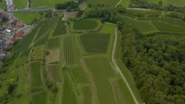 Widok Powietrza Miasto Hecklingen Zamek Lichteneck Niemczech Słoneczny Dzień Lecie — Wideo stockowe