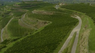 Yazın güneşli bir günde Almanya 'daki Koenigschaffhausen şehrinin hava manzarası. 