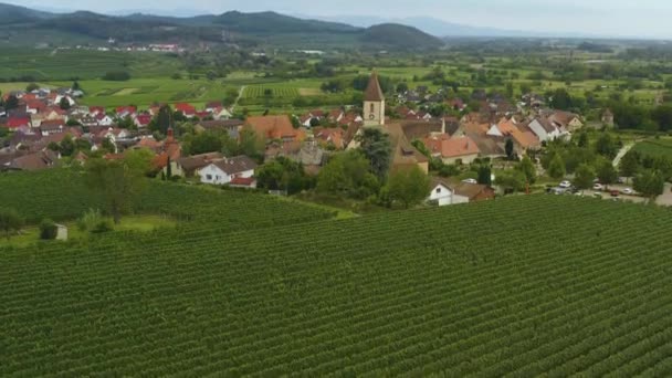 Letecký Pohled Obec Burkheim Kaiserstuhl Německu Slunečného Letního Dne — Stock video