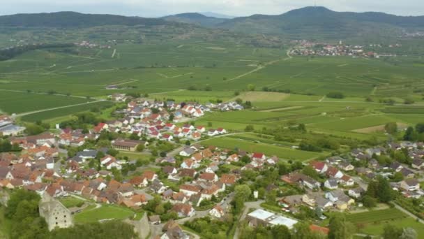 Luftfoto Landsbyen Burkheim Kaiserstuhl Tyskland Solrig Dag Sommeren – Stock-video
