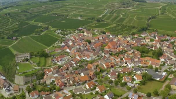 夏の晴れた日にドイツのBurkheim Kaiserstul村の空中写真 — ストック動画